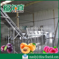 full automatic industrial apricot juice production line